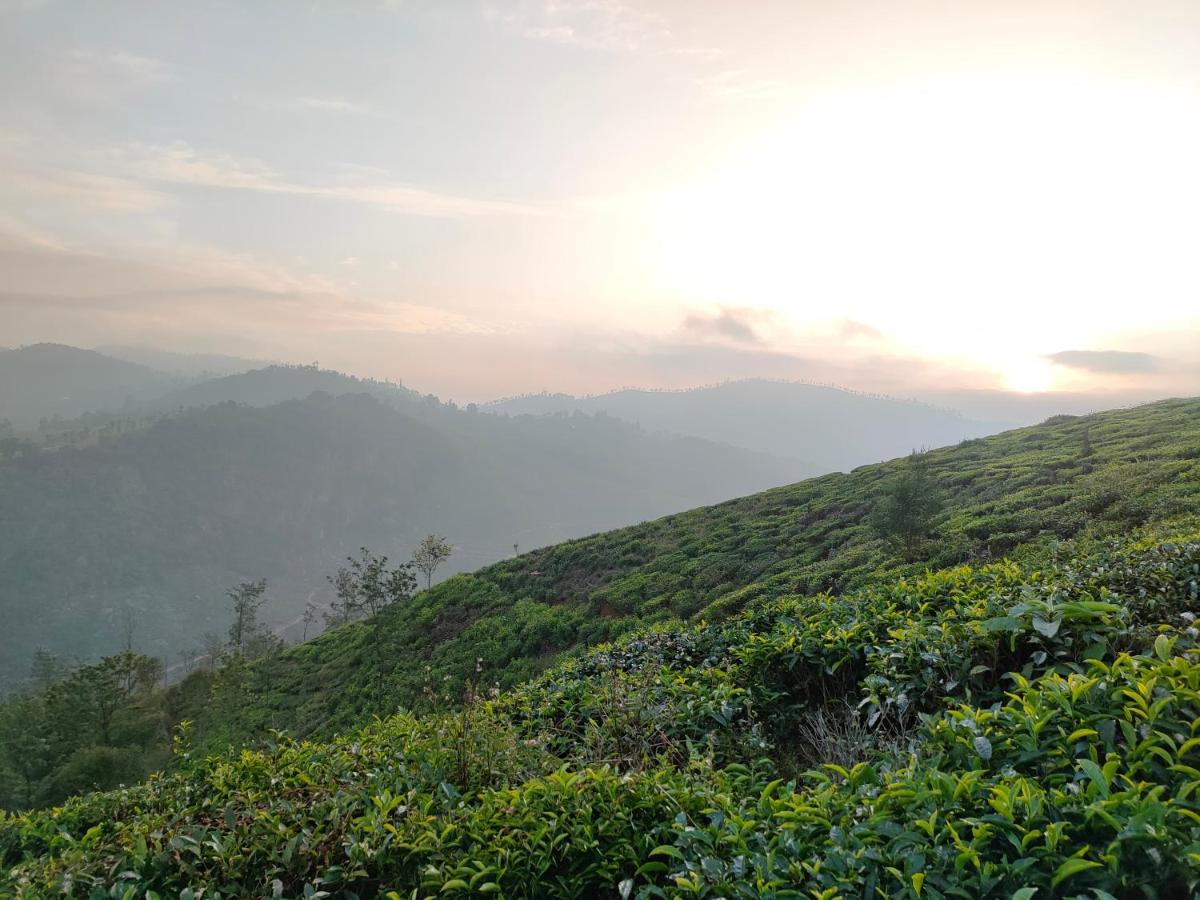 Ark heritage Coonoor Buitenkant foto